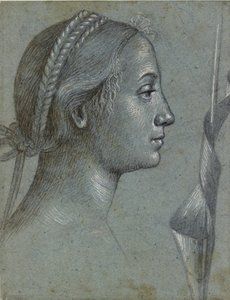 Naisen pää, jolla on viiri kierretty napakan ympärille, 1400-luvun loppu tekijältä Vittore Carpaccio