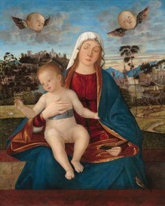 Madonna ja lapsi, n. 1505-10 (öljy poppelilevylle) tekijältä Vittore Carpaccio