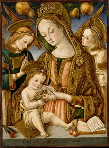 Madonna ja lapsi kahden enkelin kanssa, n. 1481-82.