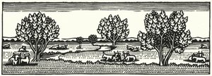 Kuvitus Thomas Hardyn Tess Of The D’Urbervillesiin (kaiverrus)