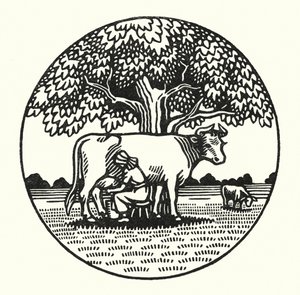Kuvitus Thomas Hardyn Tess Of The DUrbervillesiin (kaiverrus)