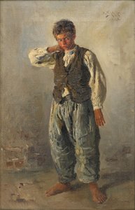 Nuori siili, 1883