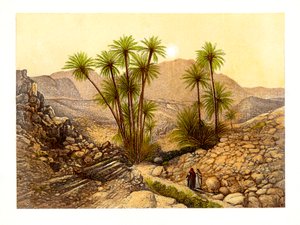Siinain autiomaa, Egypti, c1870.