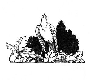 Oksojen joukossa asui satakieli, n. 1930 tekijältä William Heath Robinson