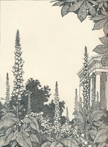 Kuvitus Kesäyön unelmaan, 1914, 1925. tekijältä William Heath Robinson