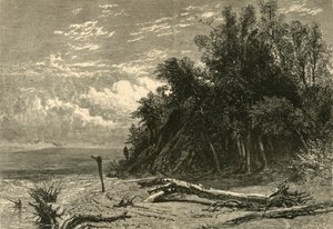 "The Shore at Lake Forest", 1874. tekijältä W. J. Linton