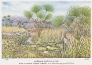 Eoseenimaisema (väri litho) tekijältä W. J. Stokoe