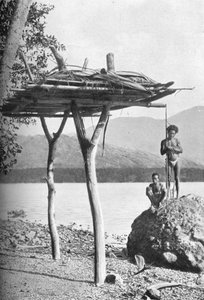 Ruumislava Uudessa-Guineassa, 1902 tekijältä W. Lindt