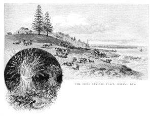 Ensimmäinen laskeutumispaikka, Botany Bay, New South Wales, Australia, 1886.