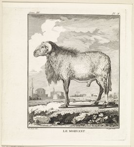 RAM Le Morvant (otsikko esineessä) tekijältä W. Tringham