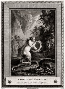 Cadmus ja Hermione, muuttuneet käärmeiksi, 1776