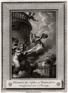 Perdix, Daedaluksen veljenpoika, muuttui Partridgeksi, 1774