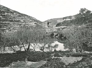 Siloamin allas, Jerusalem, Palestiina, 1895. tekijältä W and S Ltd