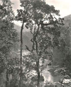 Näkymä Kelani-joelle, Kurunegala, Ceylon, 1895. tekijältä W and S Ltd