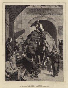Kapea tie, Kairo