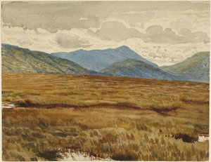 Arosin nummi, Mullinsaari tekijältä Walter Crane