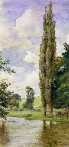Hieman Avonista tekijältä Walter Crane