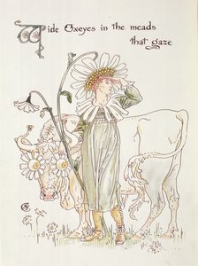 "Wild Oxeyes in Meads that Gaze", kuvitus kappaleeseen "Flora