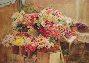 Kukkakioski Mentone Marketissa, c1910, 1912