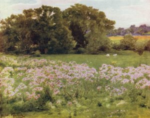 Uusi metsä: Riversdale, Boldre (väri litho) tekijältä Walter Frederick Roofe Tyndale