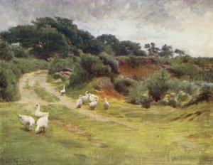 Uusi metsä: Royden Common, lähellä Brokenhurstia (väri litho) tekijältä Walter Frederick Roofe Tyndale
