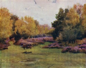 Uusi metsä: Rushpole Wood, Lyndhurst (väri litho) tekijältä Walter Frederick Roofe Tyndale