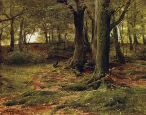 Uusi metsä: The Hill Woods, Lyndhurst (väri litho) tekijältä Walter Frederick Roofe Tyndale