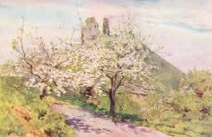 Wessex: Wessexin kevät (värilitro): Spring in Wessex (värilitro) tekijältä Walter Frederick Roofe Tyndale