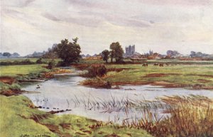 Wessex: Wimborne Minster kaukana (värilitro). tekijältä Walter Frederick Roofe Tyndale