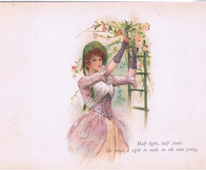 Puolivaalea, puolivarjoinen, kuvitus Tennyson Picturesilta, julkaisija E P Dutton & Co, n. 1900 (värilitho) tekijältä Walter Paget