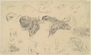 Oxen-tutkimukset tekijältä Walter Shirlaw