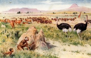 Etelä-Afrikan tasango: Ennen valkoisen miehen tuloa