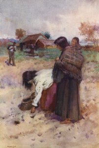 Uusi-Seelanti: Perunoiden istutus (värilitografia).