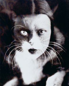 Kissa ja minä tekijältä Wanda Wulz