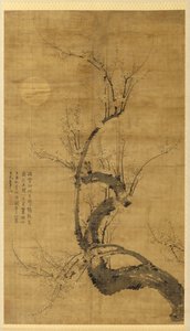 Prunus kuunvalossa tekijältä Wang Mian