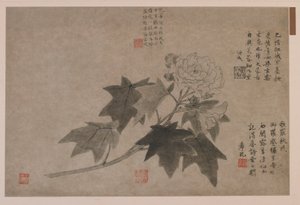 Hibiscus, 1347. tekijältä Wang Yuan