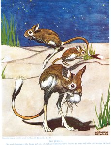 The Jerboa, kuvitus julkaisusta "The New Natural History", John Arthur Thompson (1861-1933), julkaisija G.P. Putnamin pojat, 1926