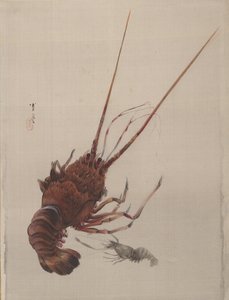 Rapu, n. 1887.