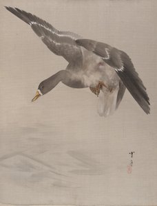 Ankka, n. 1887.