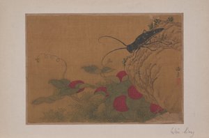 Grasshopper on Rock, 1400-luku. tekijältä Wen Liang