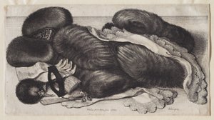 tekijältä Wenceslaus Hollar