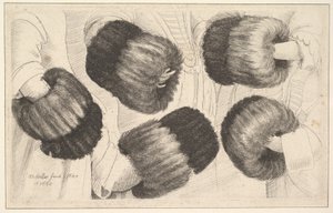 Muff in Five Views, 1645-46. tekijältä Wenceslaus Hollar