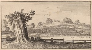 Albury tekijältä Wenceslaus Hollar