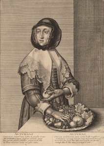 Syksy, 1641. tekijältä Wenceslaus Hollar