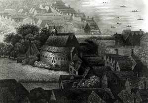 Karhupuutarha, 1647 tekijältä Wenceslaus Hollar