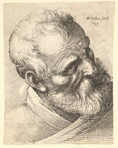 Parrakas vanha mies kallistettu pää, 1645. tekijältä Wenceslaus Hollar