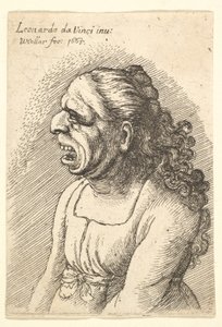 Naisen rintakuva, jolla on suu auki ja pitkät kiharat hiukset, jotka putoavat harteilleen, yllään..., 1665. tekijältä Wenceslaus Hollar