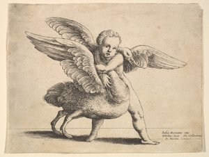 Amor ja joutsen, 1652. tekijältä Wenceslaus Hollar