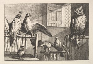 Haukat ja pöllöt, 1625-77. tekijältä Wenceslaus Hollar