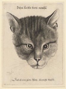  tekijältä Wenceslaus Hollar